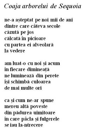  Coaja_arborelui_de_Sequoia poezie